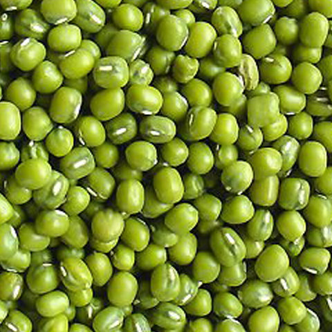 Mung Bean