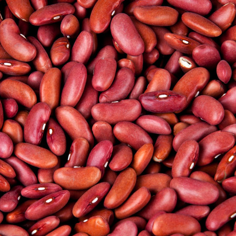 Kidney Bean