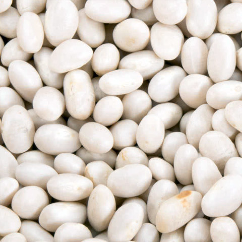 White Bean