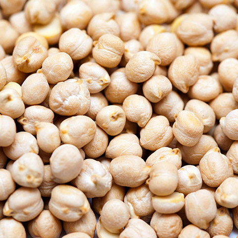 White Chickpea