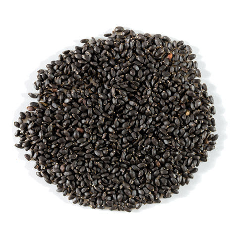 Basil Seed