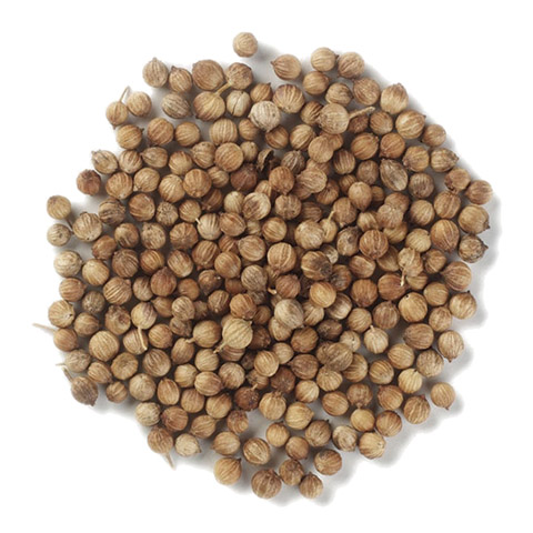 Coriander Seed