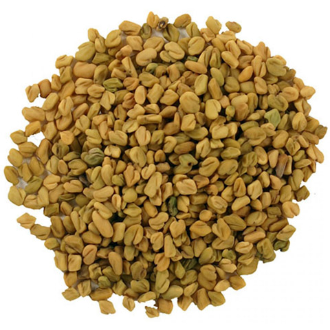 Fenugreek